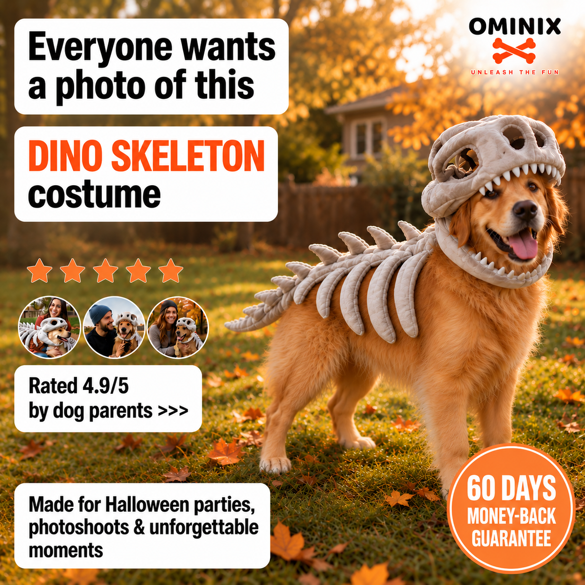 Dinosaur Skeleton Dog