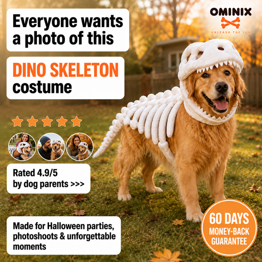 OMINIX™ Dinosaur Skeleton Dog Costume.