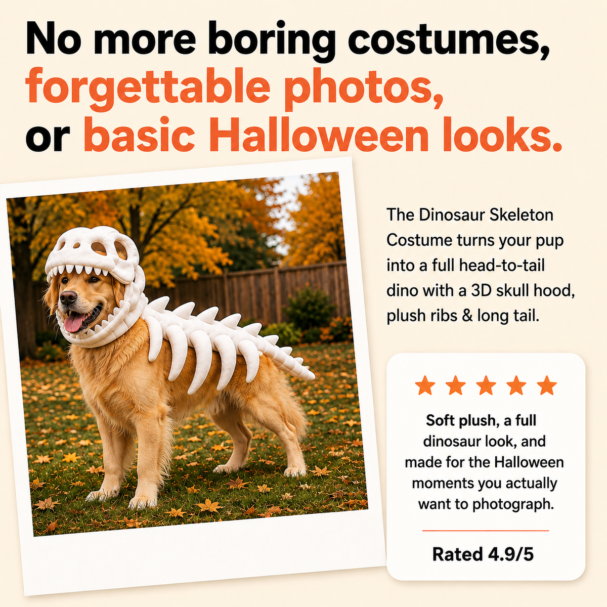 Dinosaur Skeleton Dog