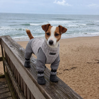 Dog Waterproof Coat