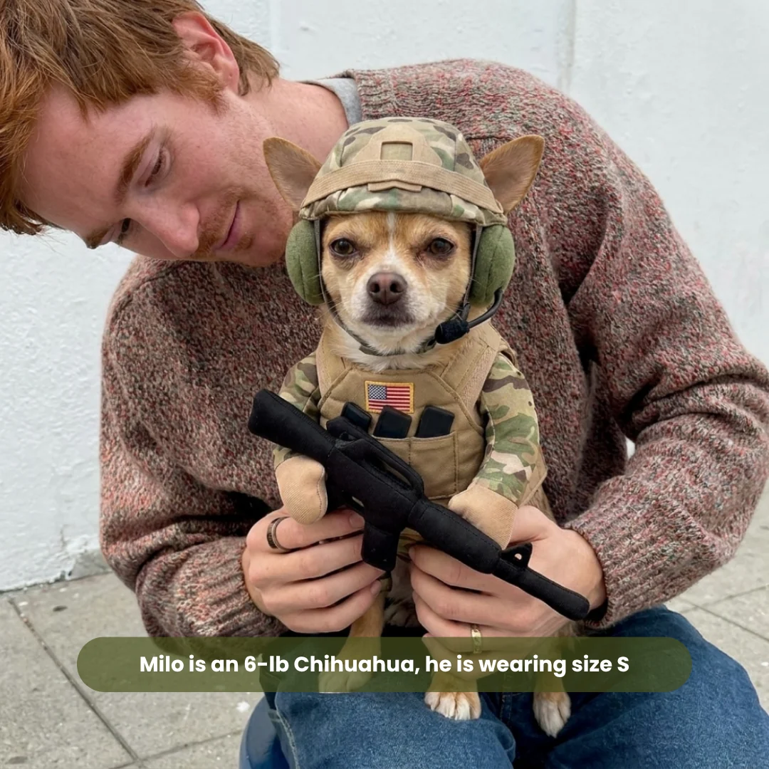 Doggy Soldier Outfit