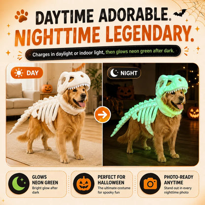 OMINIX™ Dinosaur Skeleton Dog Costume.