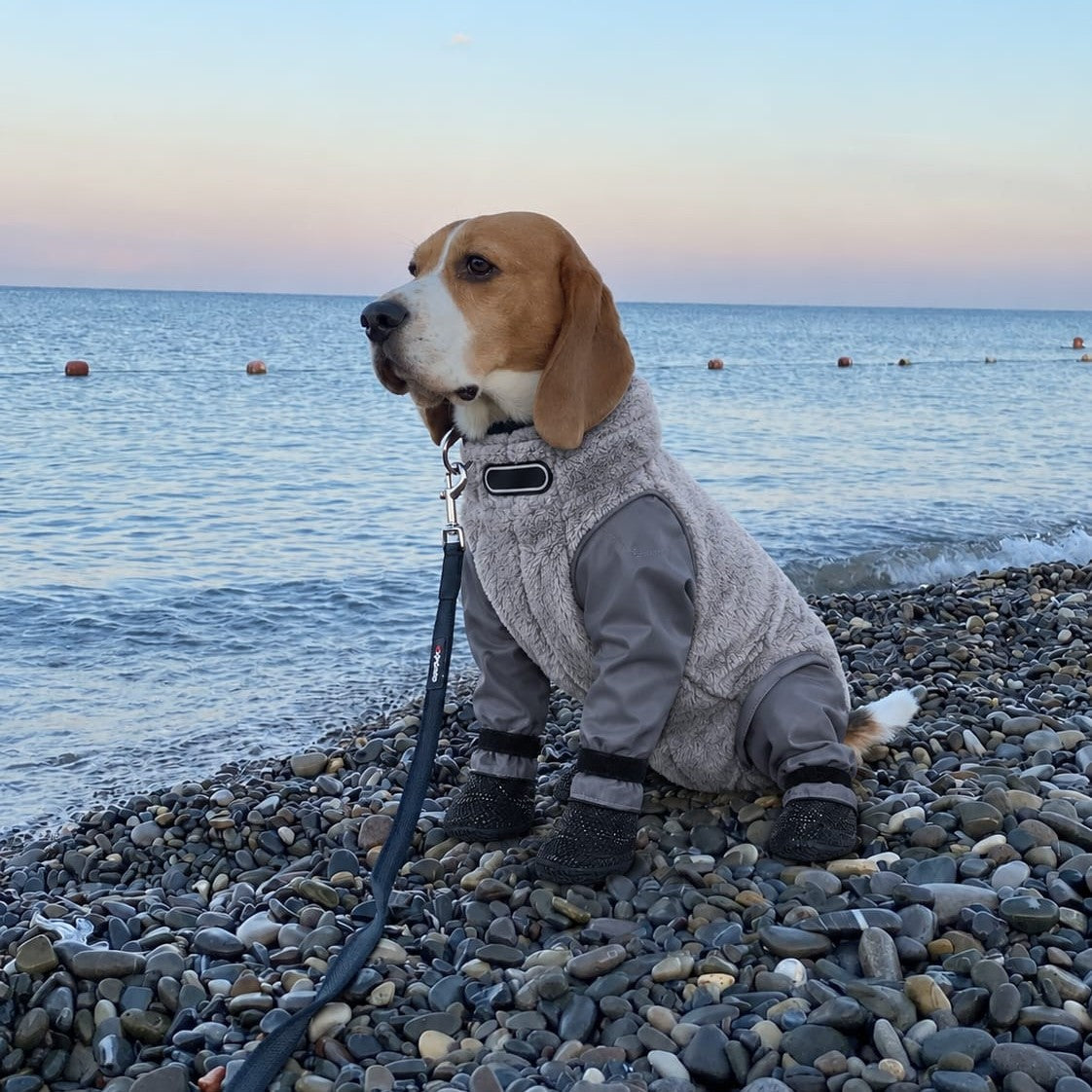 Dog Waterproof Coat