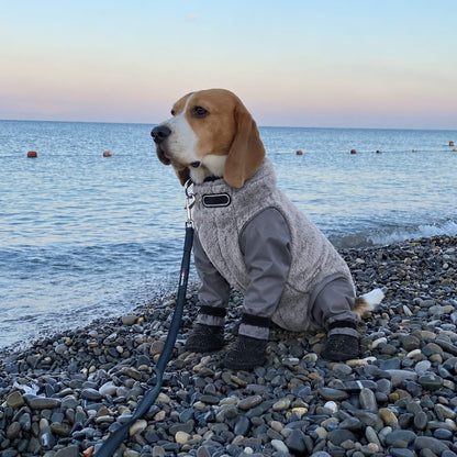 Dog Waterproof Coat